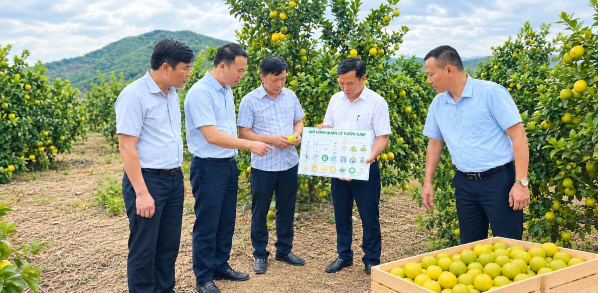 Xây dựng lịch thời vụ cho hợp tác xã hiệu quả